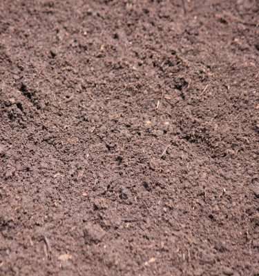 Terre à Jardin ($/verge)