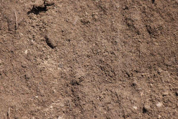 Terre Mélangé ($/verge)