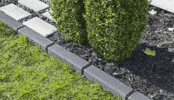 Bordure Raffinato - 90 ou 180mm