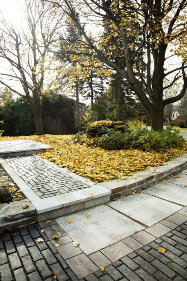 Town Hall – Image 5