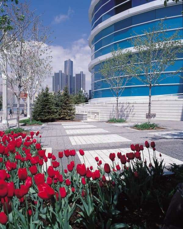 Series 3000 – Image 8